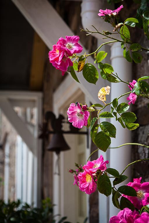Bed and Breakfast Stoodleigh Court Coach House Tiverton  Esterno foto